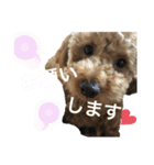 riri'sスタンプ2（個別スタンプ：5）
