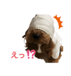 riri'sスタンプ2（個別スタンプ：6）