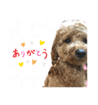 riri'sスタンプ2（個別スタンプ：8）