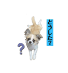 ロンチ☆アーク（個別スタンプ：6）