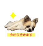 ロンチ☆アーク（個別スタンプ：14）