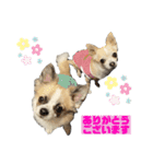 ロンチ☆アーク（個別スタンプ：16）