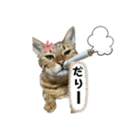 パトラさんとゴッドくん 3（個別スタンプ：3）