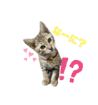 パトラさんとゴッドくん 3（個別スタンプ：6）