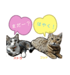 パトラさんとゴッドくん 3（個別スタンプ：8）