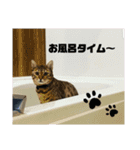 パトラさんとゴッドくん 3（個別スタンプ：11）