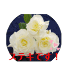 ぜーんぶバラの挨拶スタンプ（個別スタンプ：11）