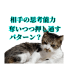 キジ白ばぁばの無心撃退スタンプ（個別スタンプ：15）