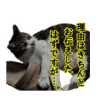 キジ白ばぁばの無心撃退スタンプ（個別スタンプ：38）
