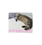れおるか☆（個別スタンプ：10）