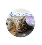 れおるか☆（個別スタンプ：11）