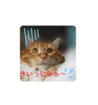 れおるか☆（個別スタンプ：12）