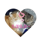 れおるか☆（個別スタンプ：13）