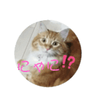 れおるか☆（個別スタンプ：16）