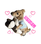 わんぱくダックス！犬の空くん（個別スタンプ：24）