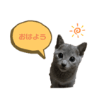 まりたん1（個別スタンプ：1）