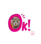 まりたん1（個別スタンプ：7）