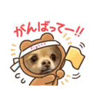 わんわんっ！！ まるまるスタンプ2（個別スタンプ：23）