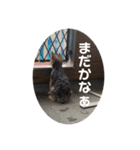 みんな大好きよもぎさん♡（個別スタンプ：1）