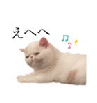 ぺちゃんこフイ（個別スタンプ：3）