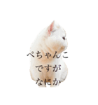 ぺちゃんこフイ（個別スタンプ：6）