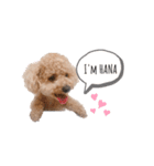 愛犬2匹のかわいい子供（個別スタンプ：5）