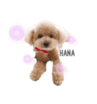 愛犬2匹のかわいい子供（個別スタンプ：8）