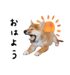 つくしとあそぼ（個別スタンプ：1）