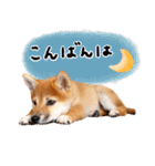 つくしとあそぼ（個別スタンプ：3）