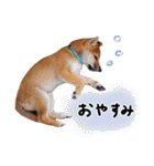 つくしとあそぼ（個別スタンプ：4）