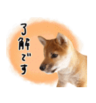 つくしとあそぼ（個別スタンプ：8）