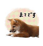 つくしとあそぼ（個別スタンプ：16）