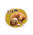 つくしとあそぼ（個別スタンプ：23）