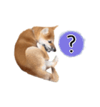 つくしとあそぼ（個別スタンプ：32）