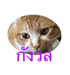 แมวและดอกไม้รักษา（個別スタンプ：4）