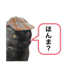 黒猫ペロの関西弁（個別スタンプ：3）