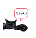 黒猫ペロの関西弁（個別スタンプ：7）