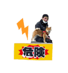 柴犬ひまり①（個別スタンプ：16）