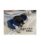 My KEL（個別スタンプ：5）