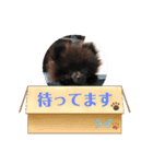 ライのご機嫌スタンプ（個別スタンプ：8）