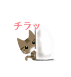 キジトラたびにゃん（個別スタンプ：6）