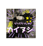 うちのインコ達（OI）追加（個別スタンプ：7）