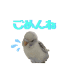 うちのインコ達（OI）追加（個別スタンプ：18）
