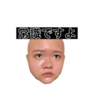 ヒダリアリス（個別スタンプ：4）