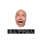 ヒダリアリス（個別スタンプ：6）