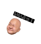 ヒダリアリス（個別スタンプ：8）