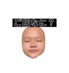 ヒダリアリス（個別スタンプ：9）