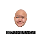 ヒダリアリス（個別スタンプ：13）
