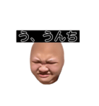 ヒダリアリス（個別スタンプ：15）