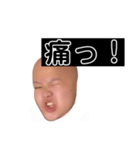 ヒダリアリス（個別スタンプ：20）